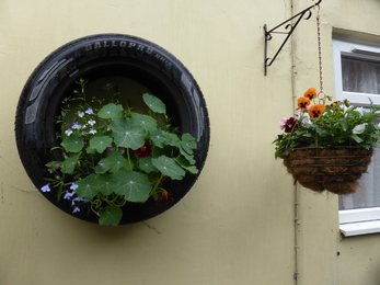 Tyre wall planter 