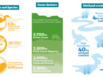 Infographics for farm cluster, species and wetland