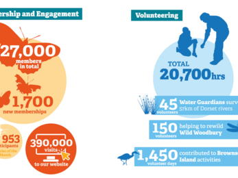 Infographics for membership and volunteering