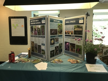 Turlin Moor Community Garden event display