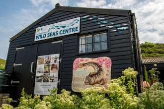 Wild Seas Centre Image by Phil Abraham