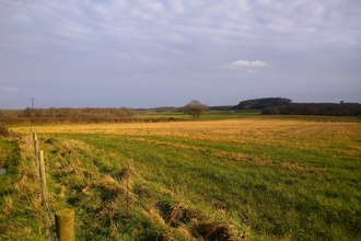 Photo - farmland with grass and woodland in the distance