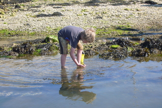 Child exploring Fleet Lagoon at Chesil © Dorset Wildlife Trust