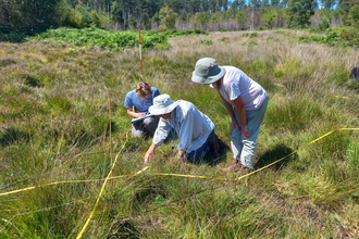 Volunteer vegetation quadrat survey at Oakers Bog