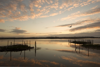 Brownsea lagoon at sunset