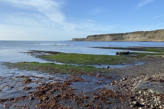 A landscape photo of Kimmeridge Bay with cliffs in the distance and the shore in the foreground. The sky is blue.