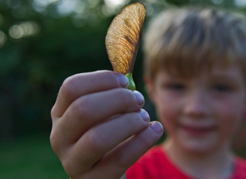 Young boy holding Sycamore seed © David Tipling/2020VISION