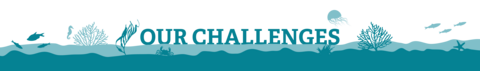 Our challenges v3