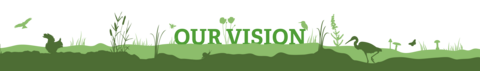 Our vision banner
