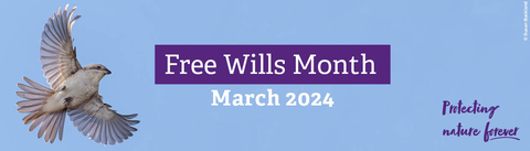 Free Wills Month 2024 