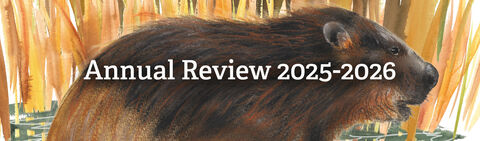 Annual Review 2025-2026