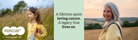 A banner showing a young girl amongst long grass on the left with an older lady in a field with sunset behind on the right