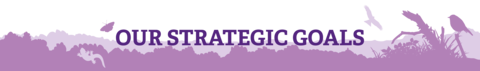 Header with the title strategic goals