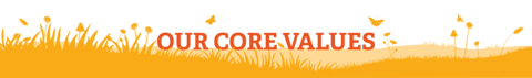 Header with the title Our core values
