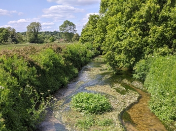 Dorset river