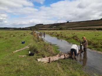  LWD being installed and pinned in place using chestnut stakes. 