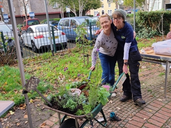 Poole Town Centre Garden open day