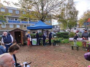 Poole Town Centre Garden open day 