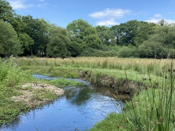 River Hooke