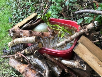 Mini pond 