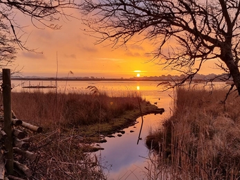 Brownsea lagoon sunrise 