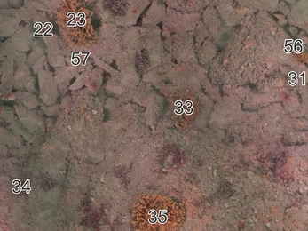 Dorset 3Deeper map