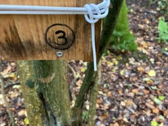 Dormouse nest box