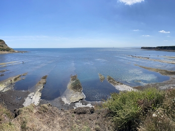 A view of Kimmeridge Bay looking out to sea taken at low tide with rocky ledges exposed