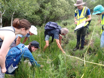 Peat surveying