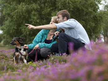 Couple with their dog