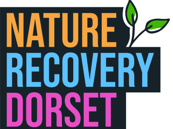 Nature Recovery Dorset logo