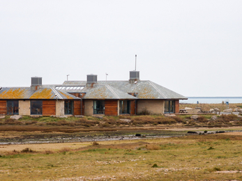 Wild Chesil Centre 