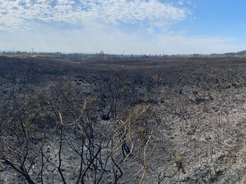 Wildfire on Upton Heath