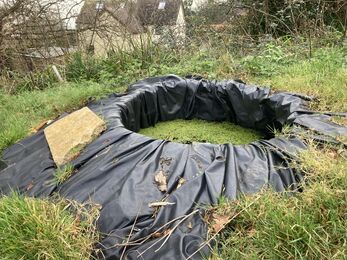 An existing pond in use for the Forest School at Woodroffe.