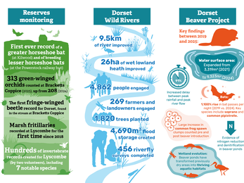 Annual review 2025-2026 infographic