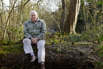 David Attenborough My Wild Life