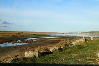 Chesil Beach © Jane Franklin