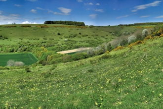 Fontmell Down © Tony Bates MBE