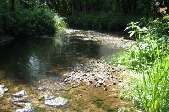 Nunnery Mead © Sarah Williams