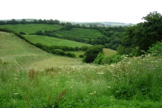 South Poorton © Jane Franklin