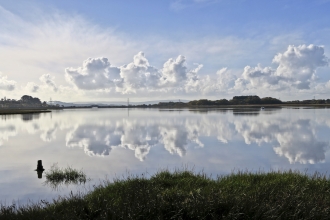 Lytchett Bay DWT/ARC Nature Reserve