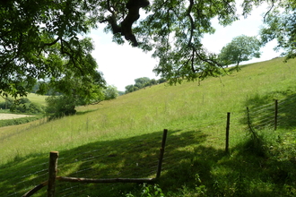 Haydon Hill © James Hitchen