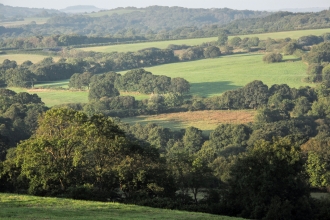 Across Kingcombe by Tony Bates MBE