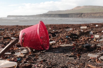 Beach litter by J Hatcher