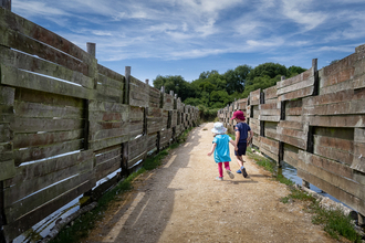 Brownsea © Damian Garcia