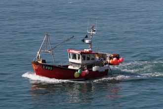 Traditional inshore fishing boat © Steve Davis