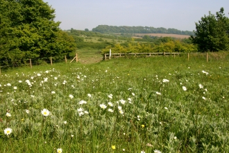 Lorton Meadows Nature Reserve by DWT