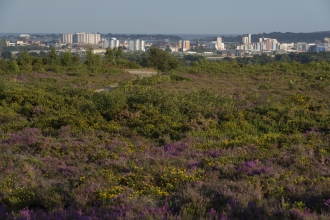 View to Poole from Upton Heath © Mark Heighes