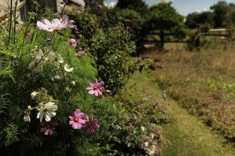Competition garden 2018 © DWT