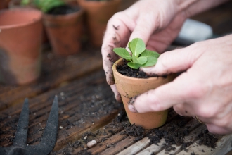 Planting by Katharine Davies 